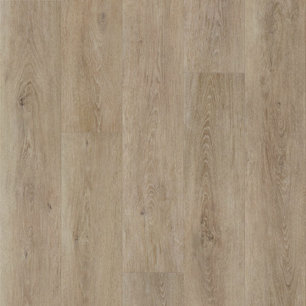 Vinyl Gallery DVRVP675-C Modern Muse Collection