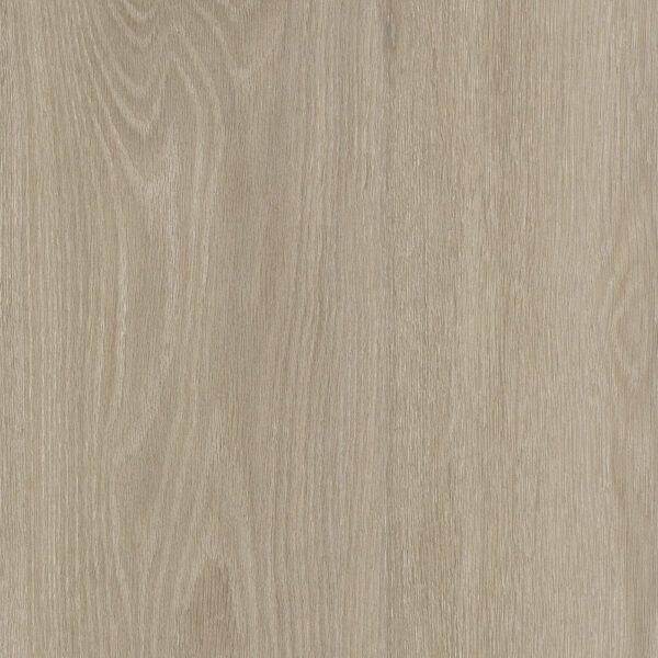 Vinyl Glacier Park Collection