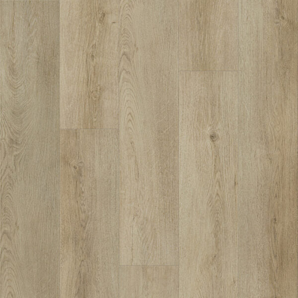 Vinyl Glow Up DVRVP678-C Modern Muse Collection