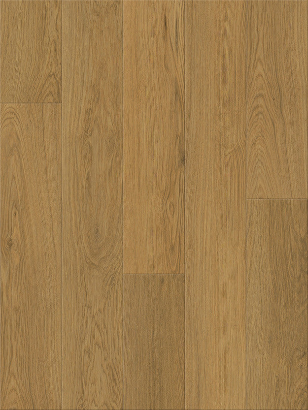 Vinyl Dry Back LVT HONEY RIDGE 1LV09201 Nod to Nature REWILDING