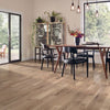 Hardwood Inviting Warmth CB5230LG DUNDEE WIDE PLANK - LOW GLOSS