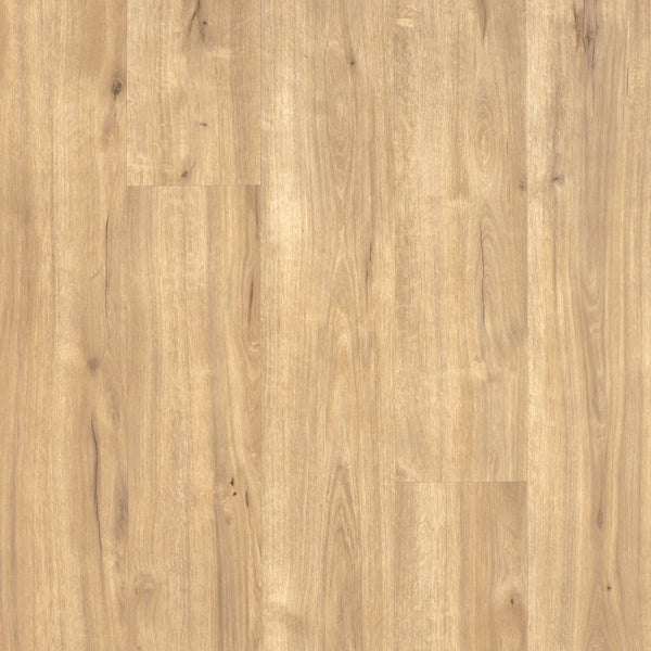 Vinyl  Joplin Franklin