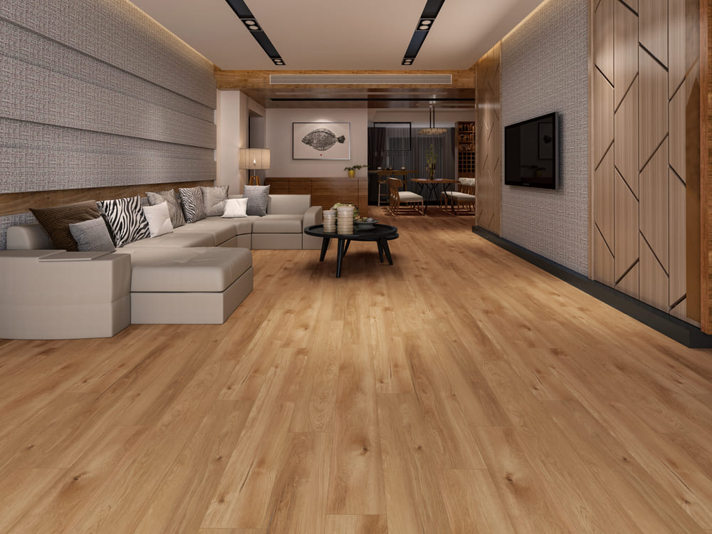 Vinyl Lazio MCGL-8801 Abbey Road Collection