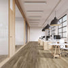 Vinyl Dry Back LVT MISTY MAGICAL 1LV09204 Nod to Nature REWILDING