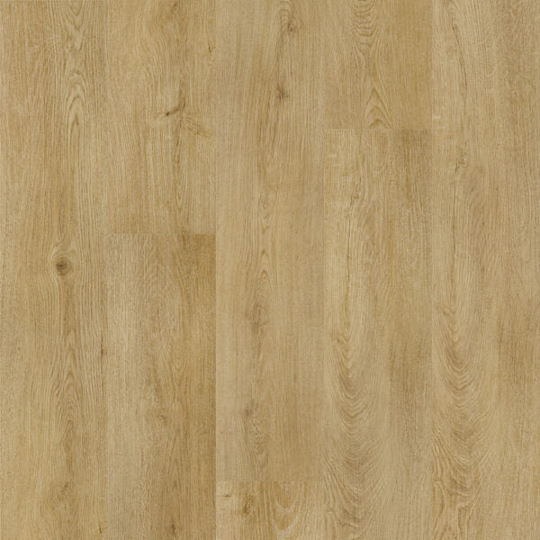 Vinyl Minimalist DVRVP674-C Modern Muse Collection