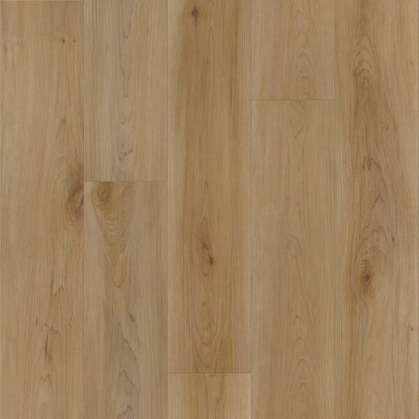 Vinyl Rizz DVRVP673-C Modern Muse Collection