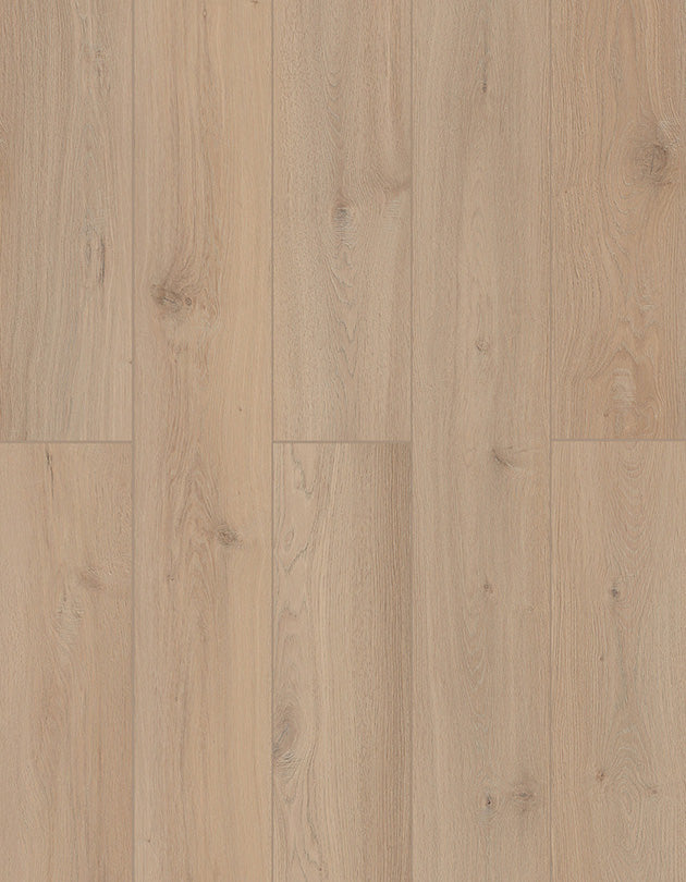 Vinyl LI-TS207 Sea Shell  LONE STAR SPIRIT XL