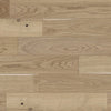 Hardwood Taupe AME-TTO19004 TEXAS TIMBER