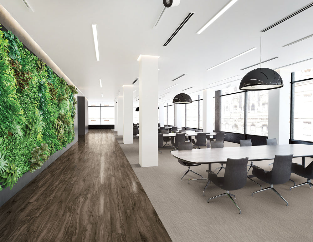 Vinyl Toast J5260 Parallel 20