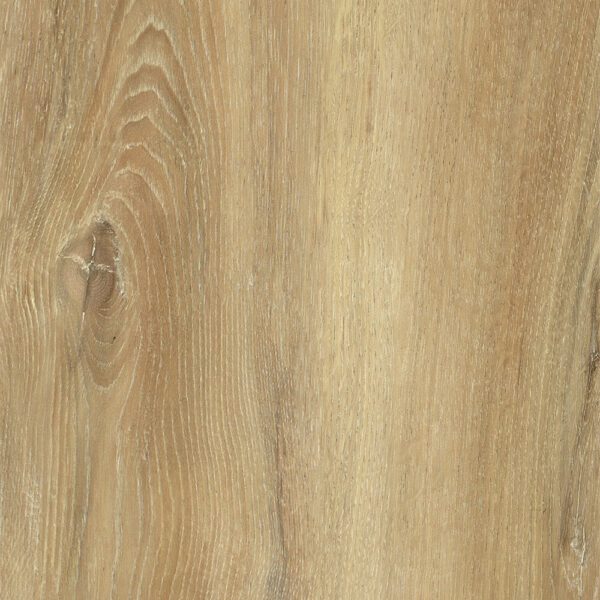 Vinyl Vineyards Estate Collection