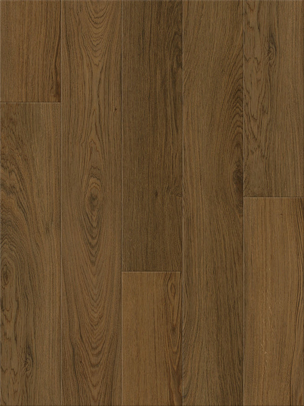 Vinyl Dry Back LVT WOODED TRAIL 1LV09203 Nod to Nature REWILDING