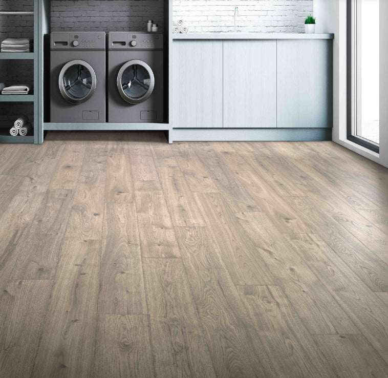 Laminate Asher Gray Oak  Elderwood