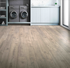 Laminate Asher Gray Oak  Elderwood