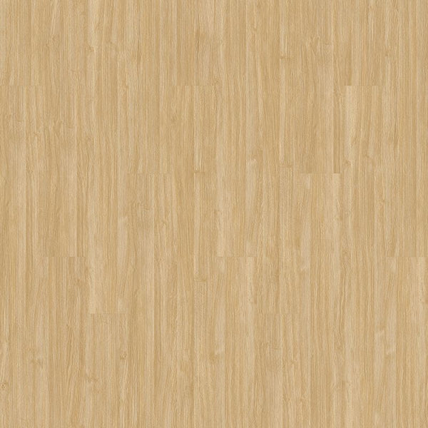 Vinyl Amber Familiar Front. II P