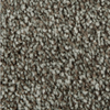 Polyester Carpet AMERICANA 28356/858 Distinct Beauty 2W53