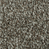 Polyester Carpet AMERICANA 28356/858 Distinct Beauty 2W53