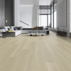 Laminate 1262 Aspen - EIR NATURE S WOODLAND