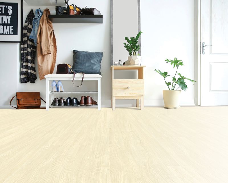 Vinyl Biscotti Familiar Front. II P