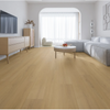 Laminate 1265 Carmel- EIR NATURE S WOODLAND