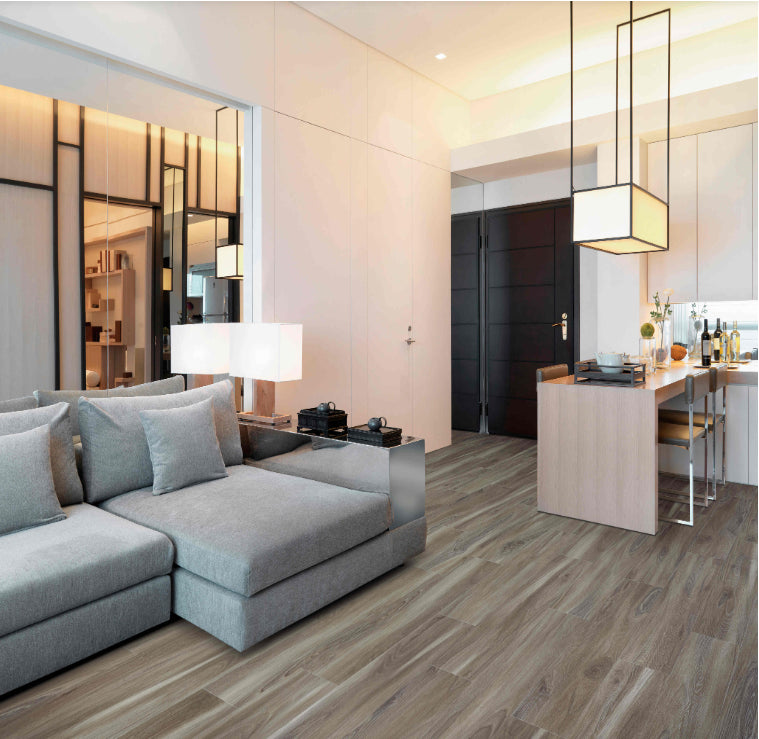 Vinyl Dolphin EXPLORER S COVE