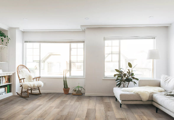 Vinyl Froth Long Bien 2.0