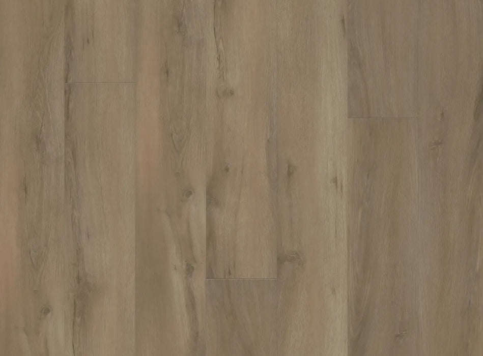 Vinyl Gentry 3004  TIMELESS BEAUTY