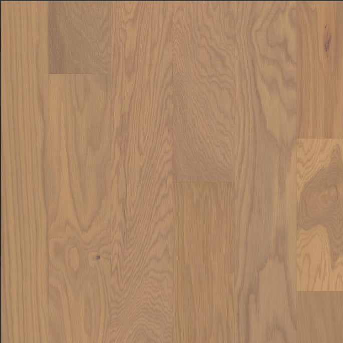 Special First Quality Hardwood   Travertine 01096 Pillar Oak 0321W