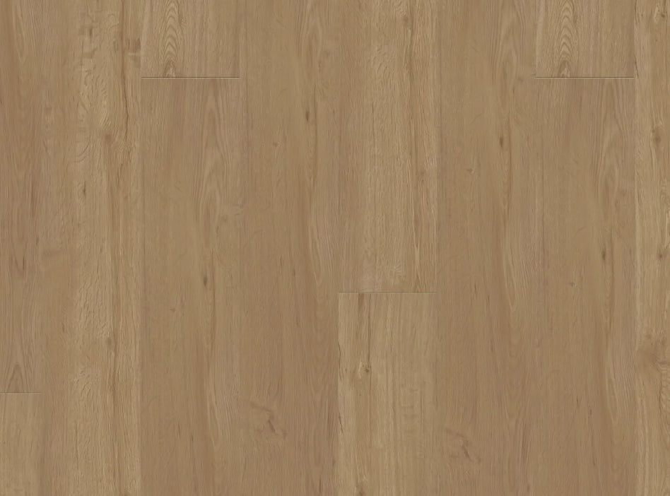 Vinyl Holmes 001 VANGUARD