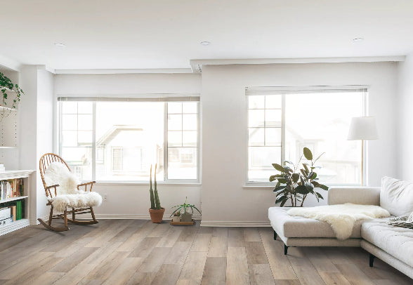 Vinyl Froth Long Bien 6.0