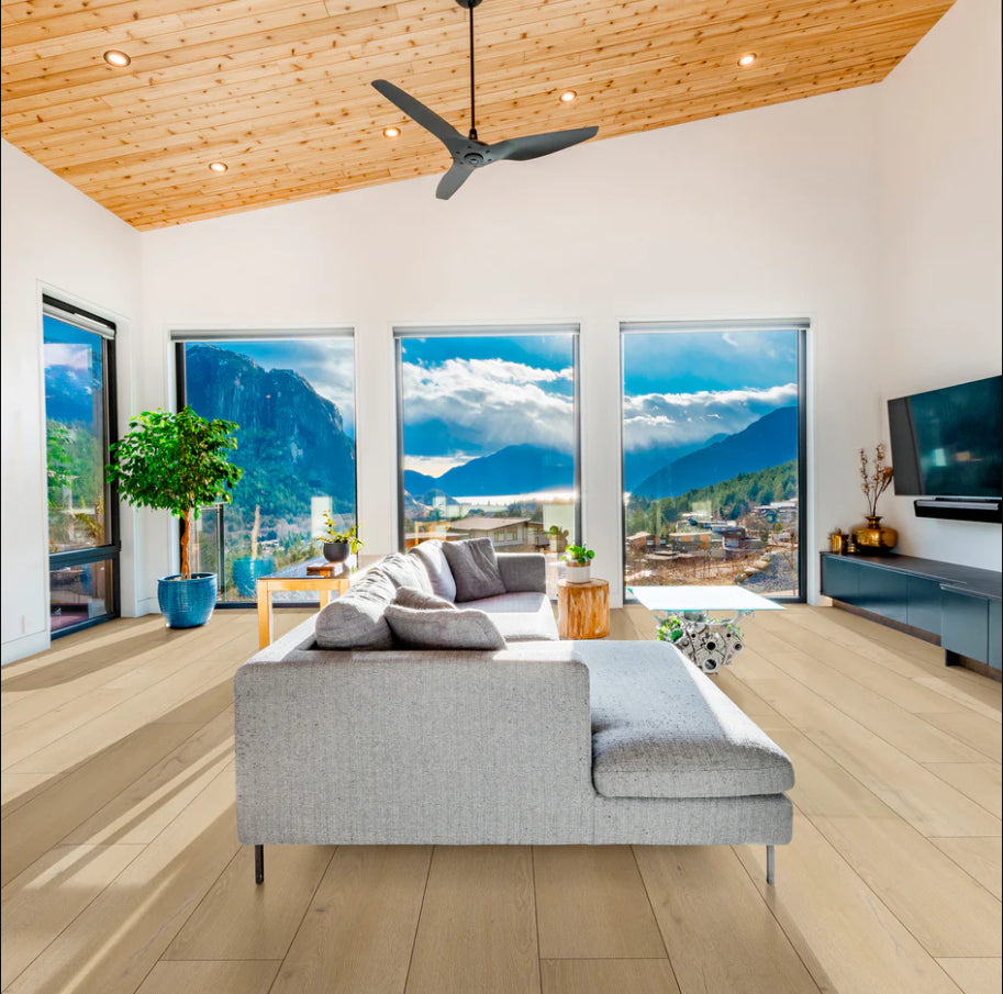 Vinyl Notre Dame ICON-107 ICON