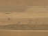 Hardwood EUROPEAN OAK PERCIVAL AVALON