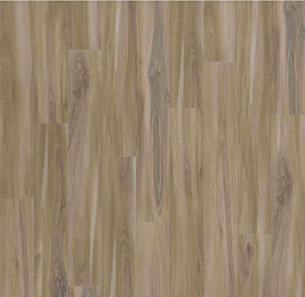 Vinyl Sandy Valley  EXPLORER S COVE