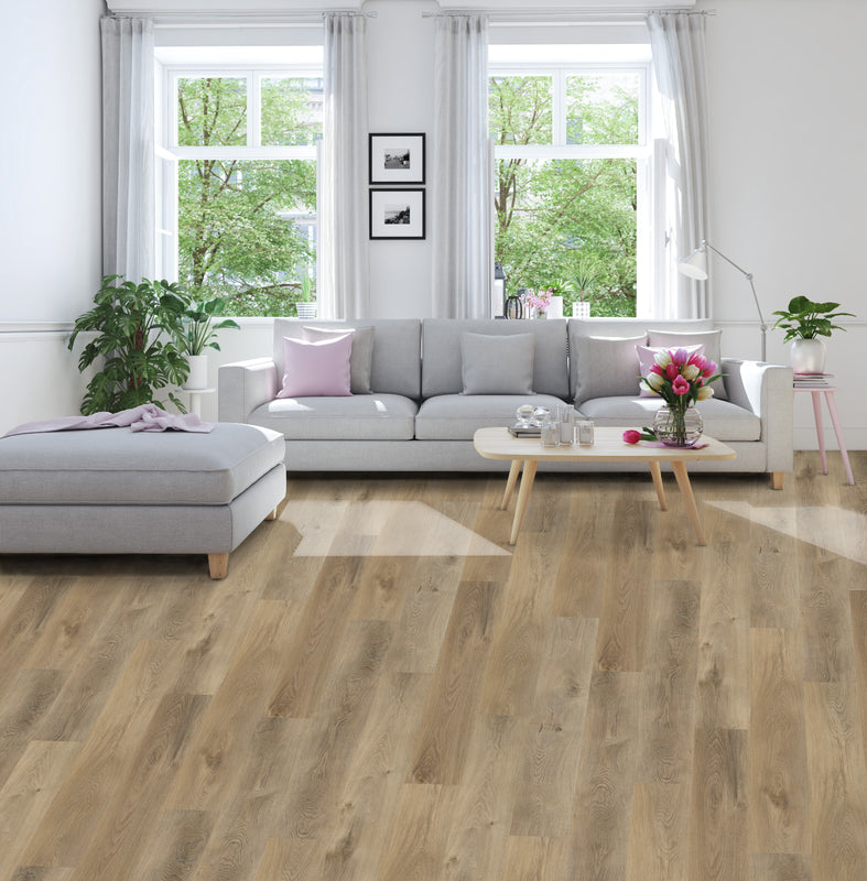 Vinyl Summer Nights Abbey Grace SPC