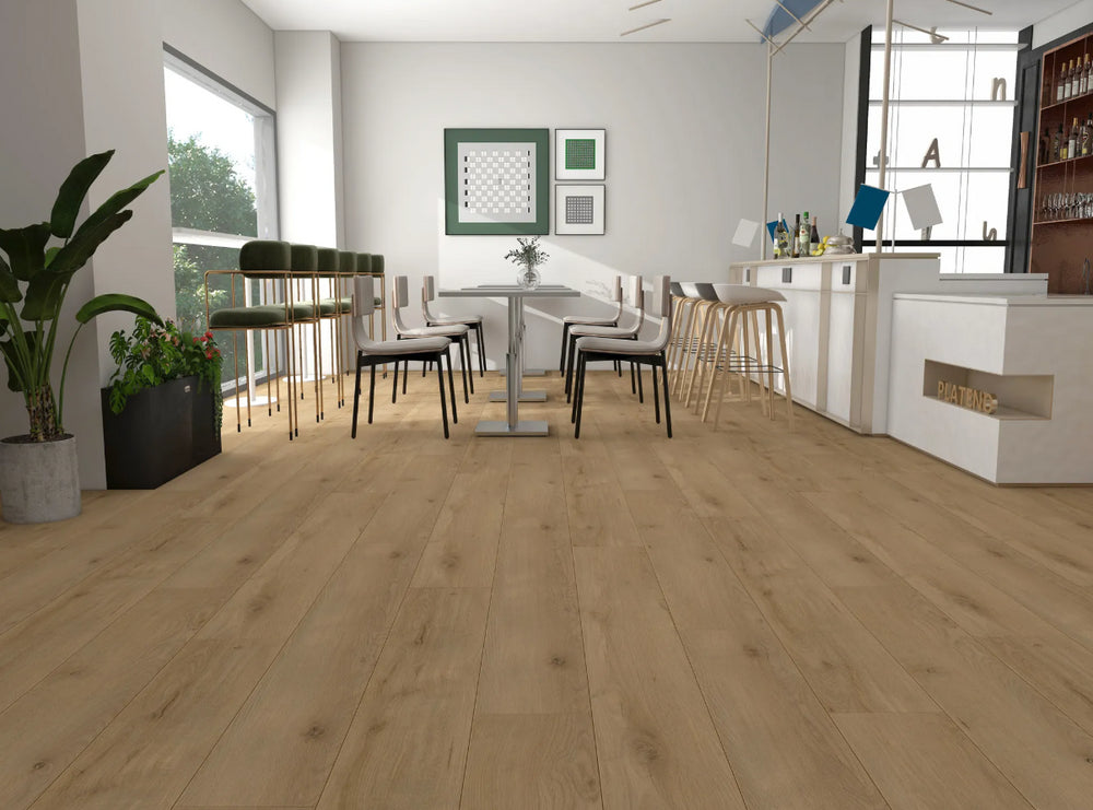 Vinyl Sundance Rodeon DY225SR11 Dynamix Lone Star