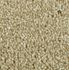 Polyester Carpet YEARLING 28356/768 Distinct Beauty 2W53