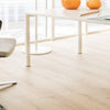 Laminate Planks 8mm Shady Acres CLA9852 Euro Classic Collection