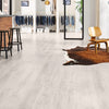 Laminate Planks 8mm Silver Dune SEL8461 Euro Select Collection