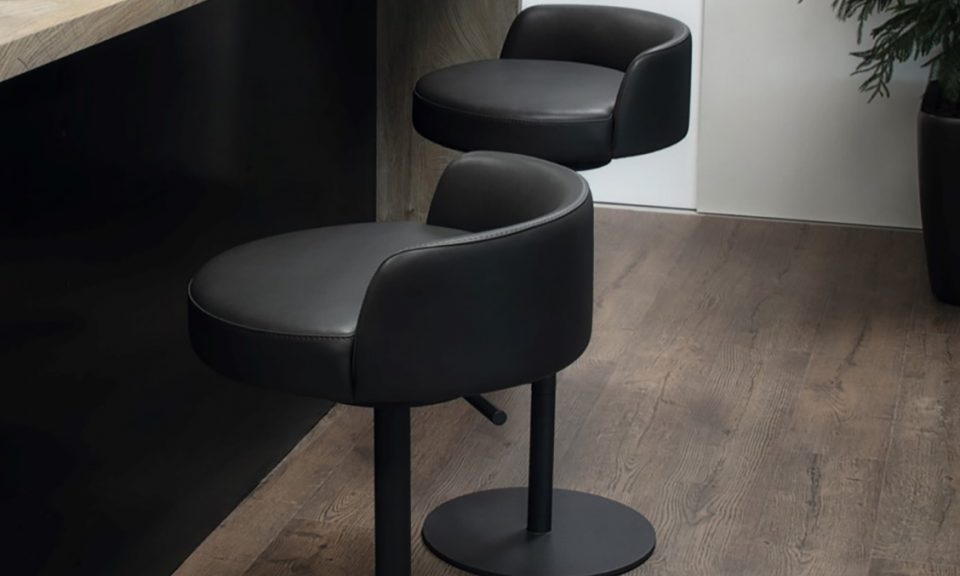 Laminate Planks 8mm Stone Shield CLA9867 Euro Classic Collection