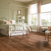 Hardwood Clover Honey SAS510 American Scrape - Hickory