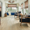 Hardwood  Greenbrier 4 in SKMB49L01X BARNWOOD LIVING