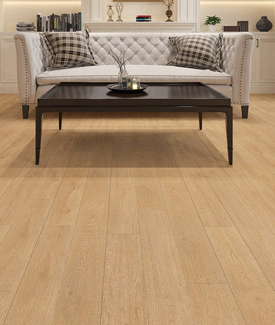 VINYL  MAVERICK DVRVP553-C  EVOLUTION COLLECTION