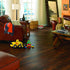 Vinyl African Sunset MAX010 Acacia  ADURA Max planks