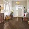 Hardwood Otter Brown SAKP59L401H Paragon -  Oak
