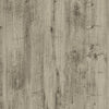 Laminate PL704 Palm Harbor Premium Water-Resistant
