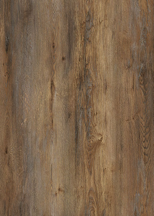 Vinyl PM504 Rocky Moutain  Pro Max